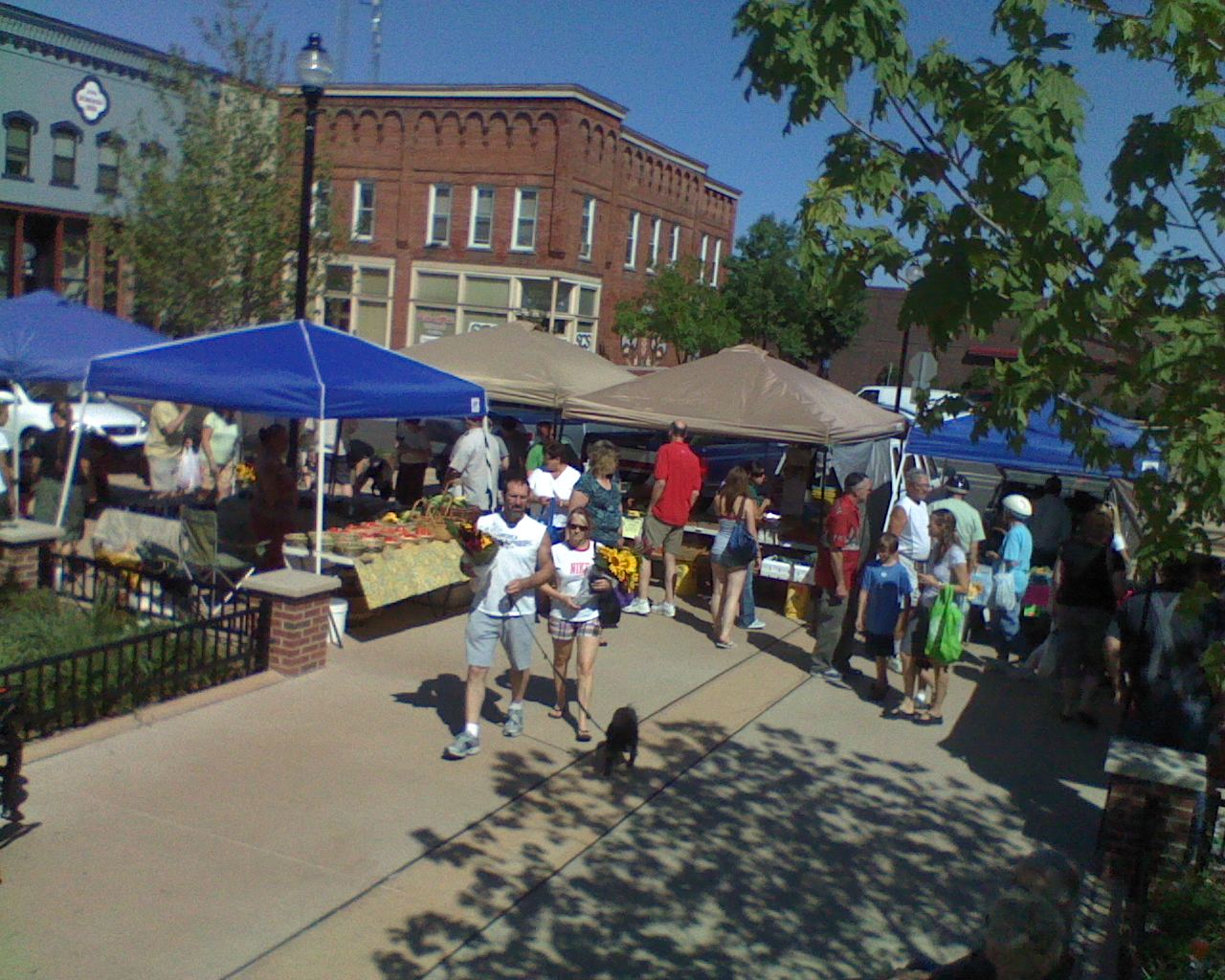 Folks shopping at the Stevens point farmers market 